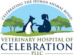 Veterinary Hospital of Celebration