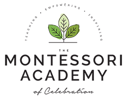The Montessori Academy