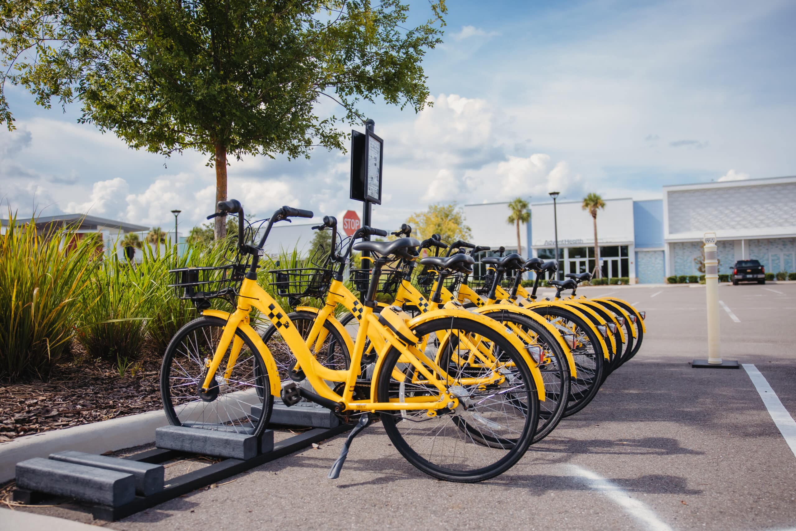 Avocado Mexican Grill